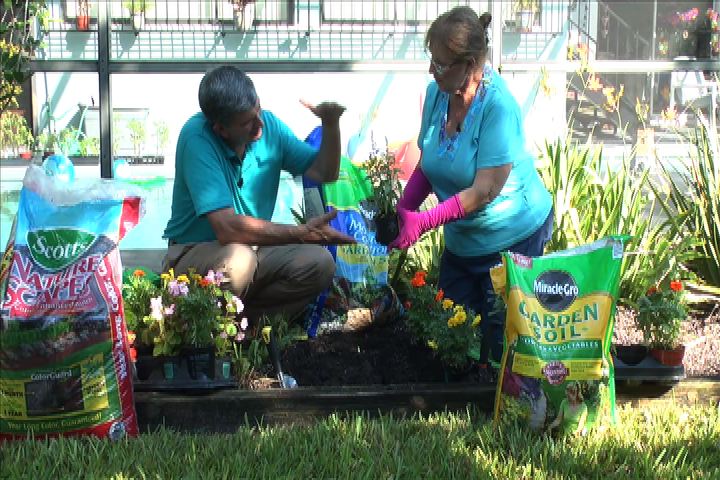 Fall Planting